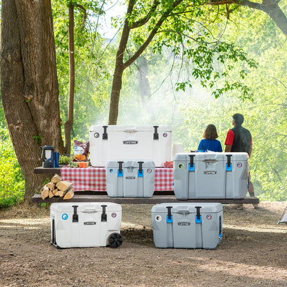 Lifetime Bear-Resistant High Performance Camping Cooler, 28 qt, 20 Can Capacity, Boulder Gray - 91289